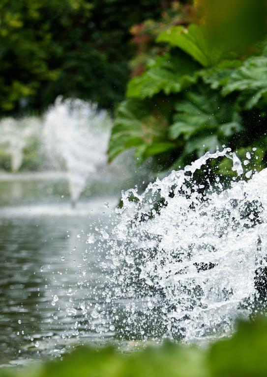 Egrove Park, University Of Oxford Ngoại thất bức ảnh