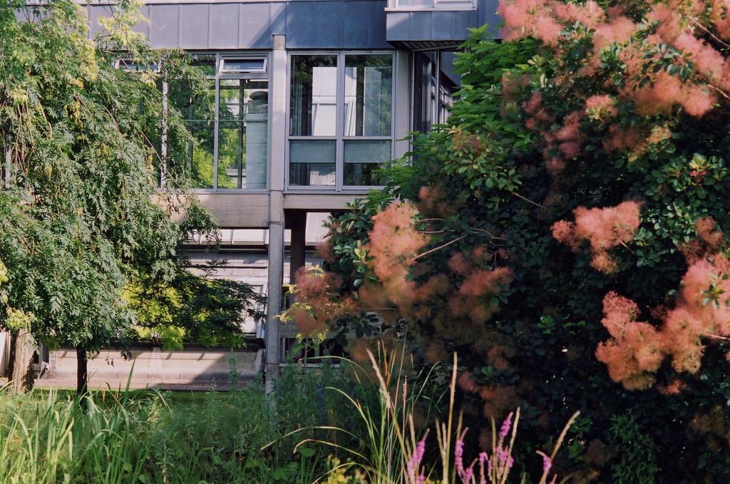 Egrove Park, University Of Oxford Ngoại thất bức ảnh